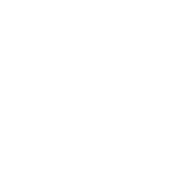 logo-30-let-cz-white.png